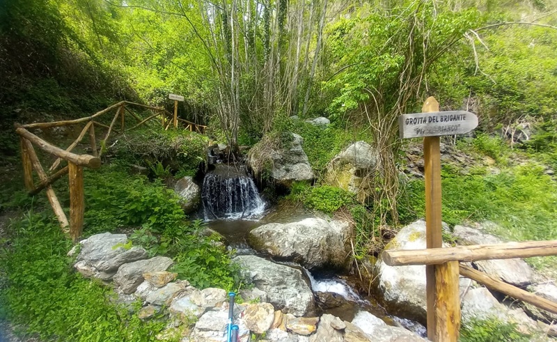 Al via la sesta edizione delle “Camminate dell’antica Sila – dalla Sila badiale alla regia Sila” Al via la sesta edizione delle “Camminate dell’antica Sila – dalla Sila badiale alla regia Sila”