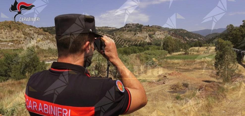 Roghi evitati grazie a Carabinieri e cittadini, dieci sanzioni nel Catanzarese