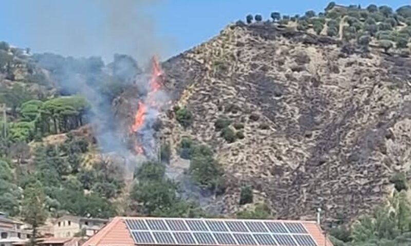 Incendio a Gioiosa Ionica domato e poi ripartito, l’amministrazione: “Attacco intollerabile al nostro patrimonio naturale” Incendio a Gioiosa Ionica domato e poi ripartito, l’amministrazione: “Attacco intollerabile al nostro patrimonio naturale”