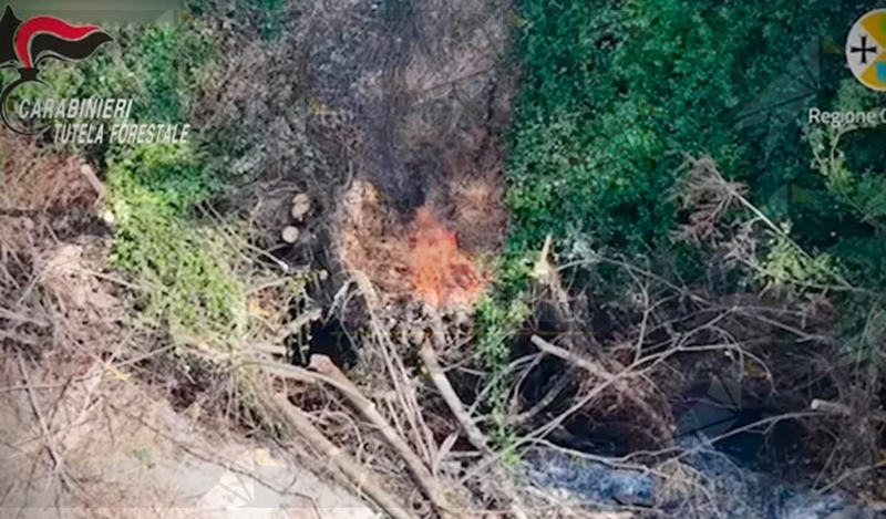 Ripreso dal drone mentre appiccava un incendio in un bosco a Mileto: arrestato un 49enne