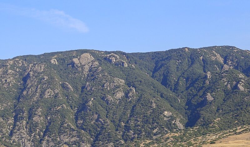 Gente in Aspromonte organizza un’escursione sul Monte Due Mari, tra le Rocche degli Smaledetti e le Rocce dell’Agonia Gente in Aspromonte organizza un’escursione sul Monte Due Mari, tra le Rocche degli Smaledetti e le Rocce dell’Agonia