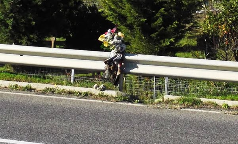SS106 e galleria Limina, il sindaco di Siderno: “Basta fiori sui guard-rail, il Governo ci ascolti” SS106 e galleria Limina, il sindaco di Siderno: “Basta fiori sui guard-rail, il Governo ci ascolti”