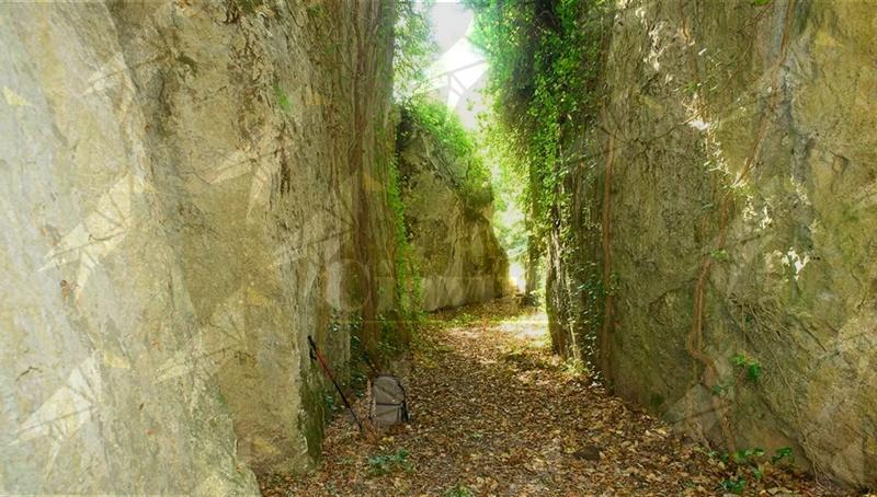 Il falso storico: la “Grotta dei re”, i 110 sovrani e il problema dimenticato di Nardodipace