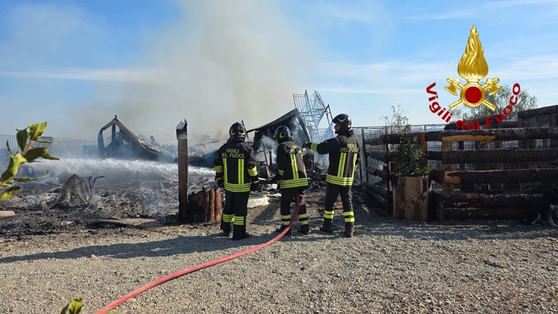 Incendio devasta il rifugio Oasi Argo di Cirò Marina: morti sei cani, non si esclude il dolo