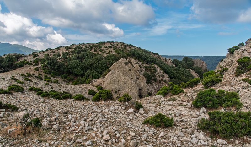 Gente in Aspromonte, domenica 4 ottobre l’escursione al Passo Due Mari – Aria del Vento Gente in Aspromonte, domenica 4 ottobre l’escursione al Passo Due Mari – Aria del Vento