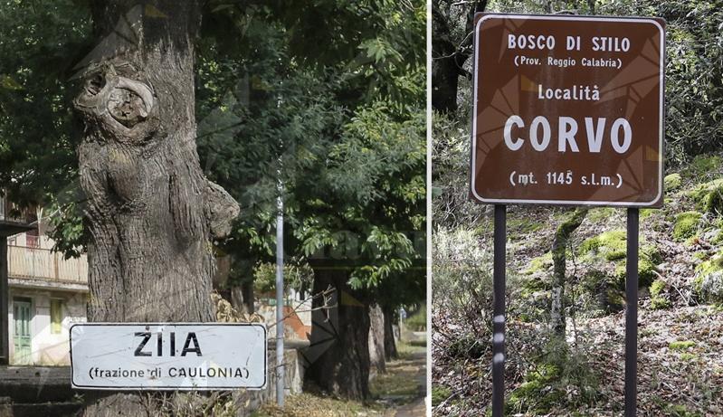 Alla scoperta della Ferdinandea, un’escursione nel cuore verde delle Serre calabresi con l’associazione Gente in Aspromonte Alla scoperta della Ferdinandea, un’escursione nel cuore verde delle Serre calabresi con l’associazione Gente in Aspromonte