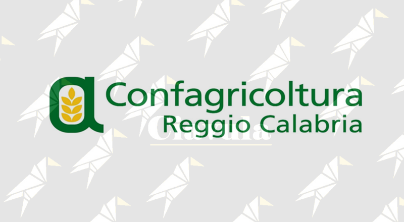 Blocco dei trasporti, Confagricoltura Reggio Calabria: «A rischio un’intera annata agricola» Blocco dei trasporti, Confagricoltura Reggio Calabria: «A rischio un’intera annata agricola»