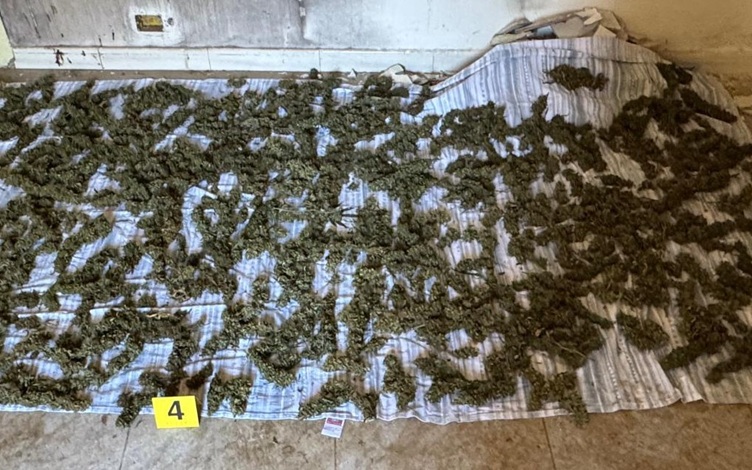 Arrestato un uomo in provincia di Reggio Calabria: aveva in casa 8kg di marijuana