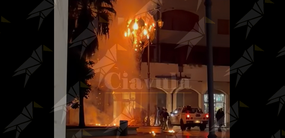 Palma in fiamme in piazza Bottari a Caulonia Marina